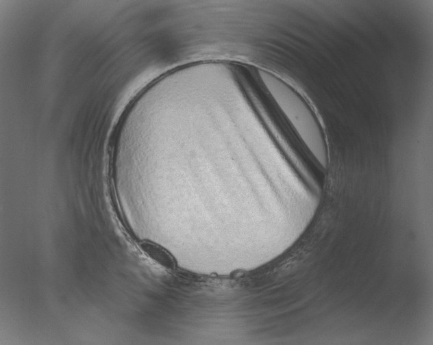 X0000076321096200610201632