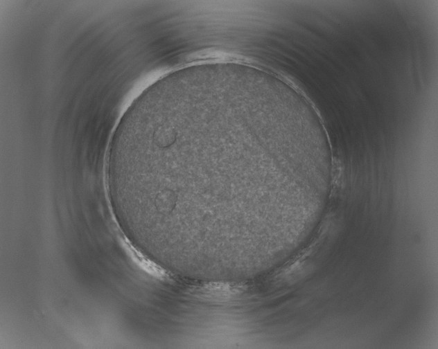 X0000076321098200610201632