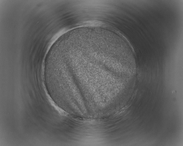 X0000076321099200610201632