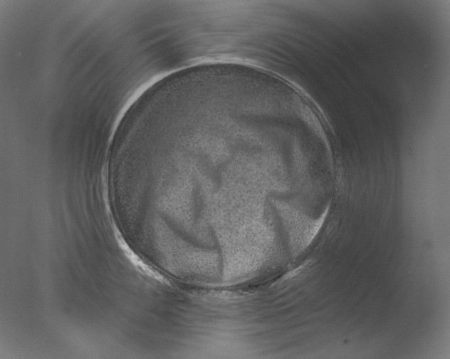 X0000076321100200610201632