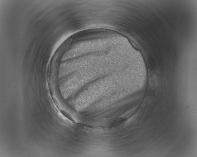 X0000076321102200610201632