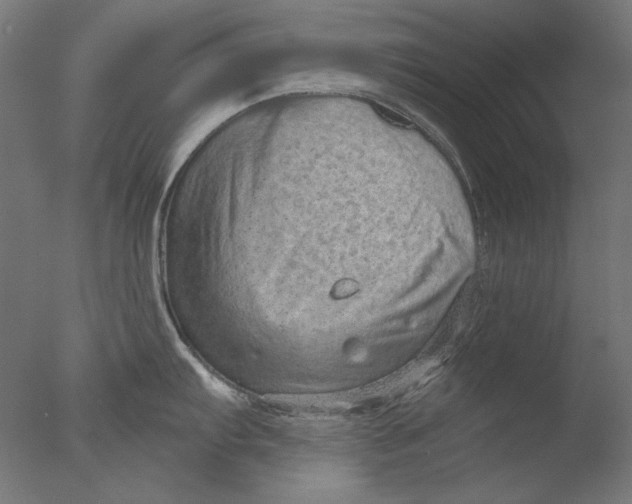 X0000076321103200610201632