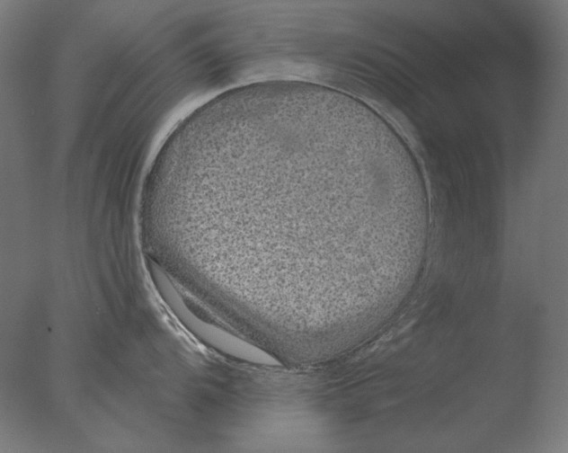 X0000076321104200610201632