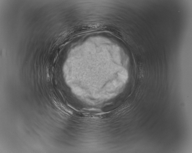 X0000076321106200610201631