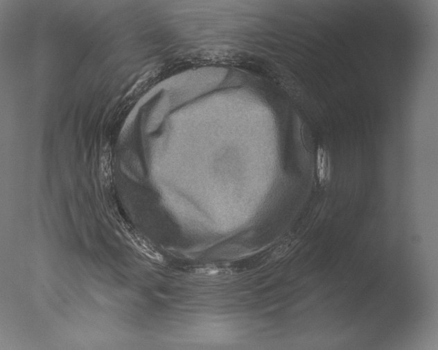 X0000076321107200610201631