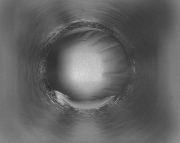 X0000076321110200610201631