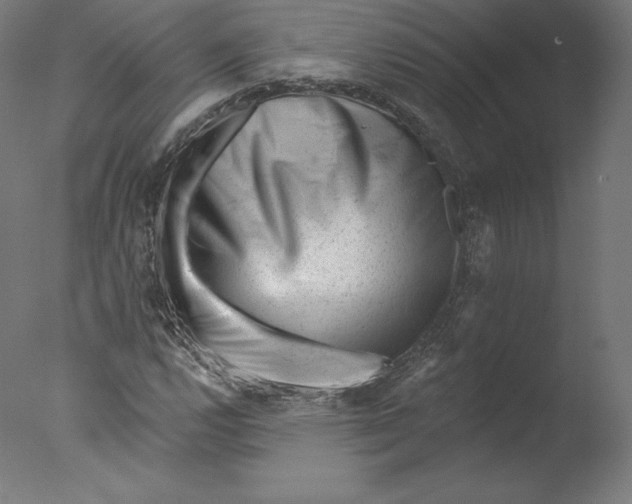 X0000076321112200610201631