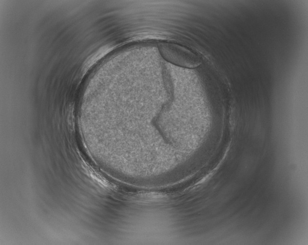 X0000076321113200610201631