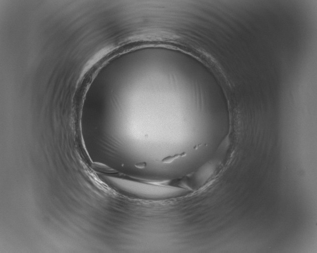 X0000076321114200610201631