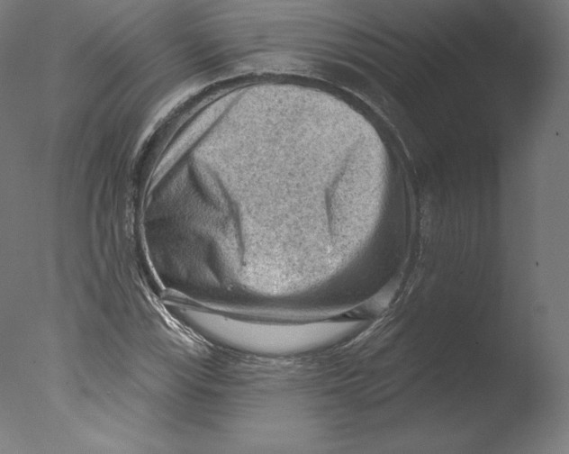 X0000076321115200610201631