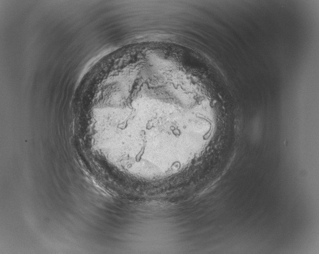 X0000076321117200610201631