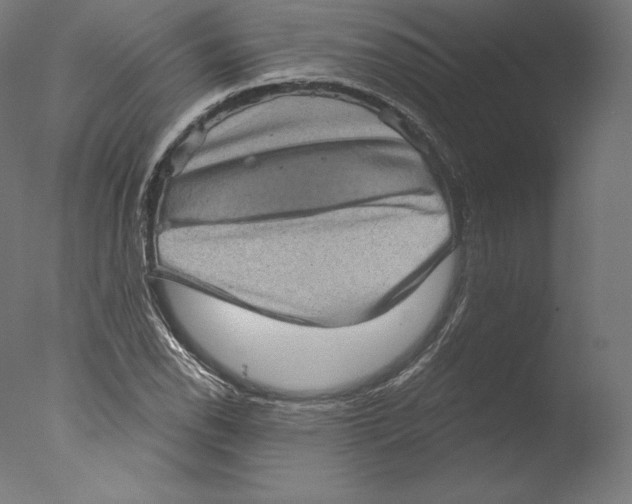 X0000076321118200610201631