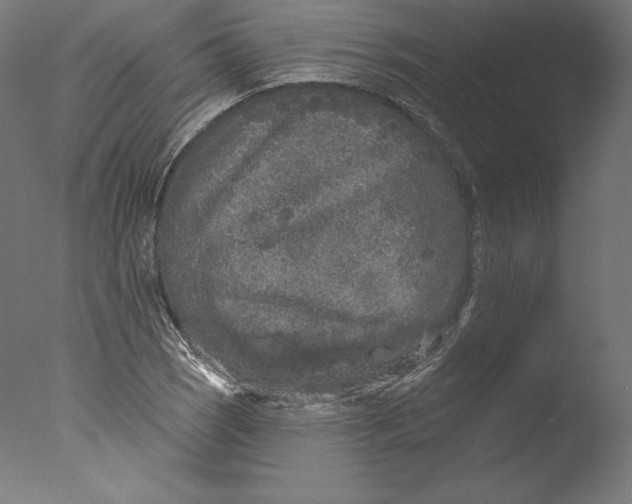 X0000076321121200610201631