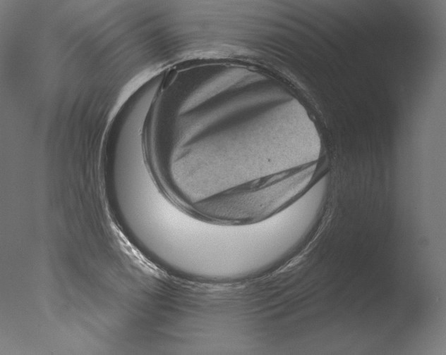 X0000076321122200610201632