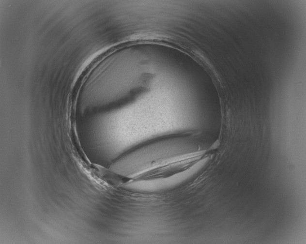 X0000076321124200610201632