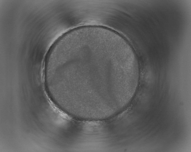 X0000076321126200610201632