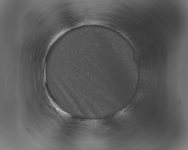 X0000076321127200610201632