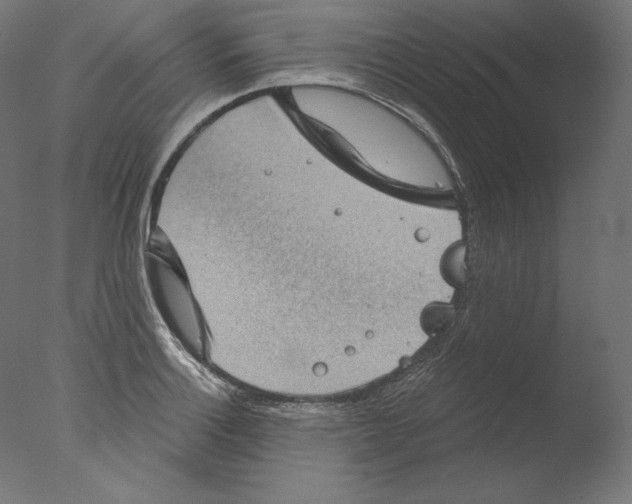 X0000076321132200610201632