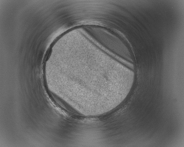 X0000076321133200610201632