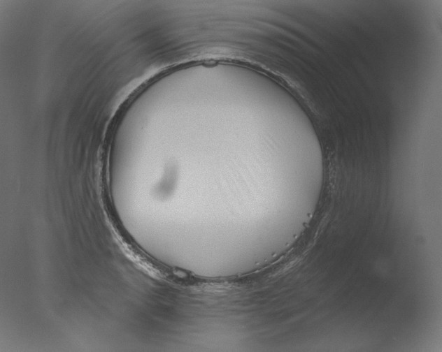 X0000076321134200610201632