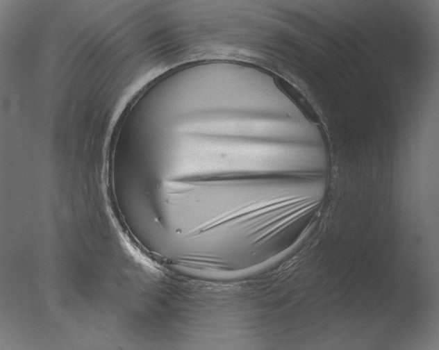 X0000076321136200610201632