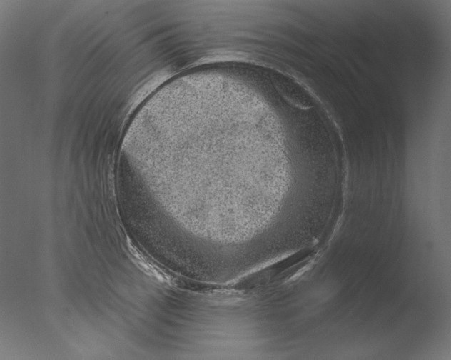 X0000076321137200610201632