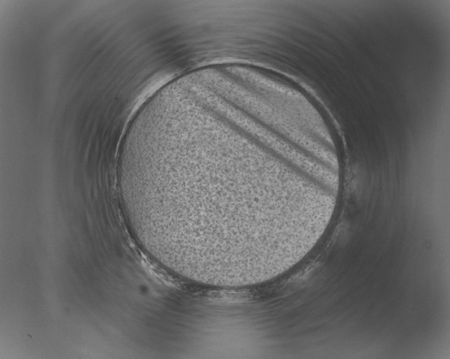 X0000076321145200610201632