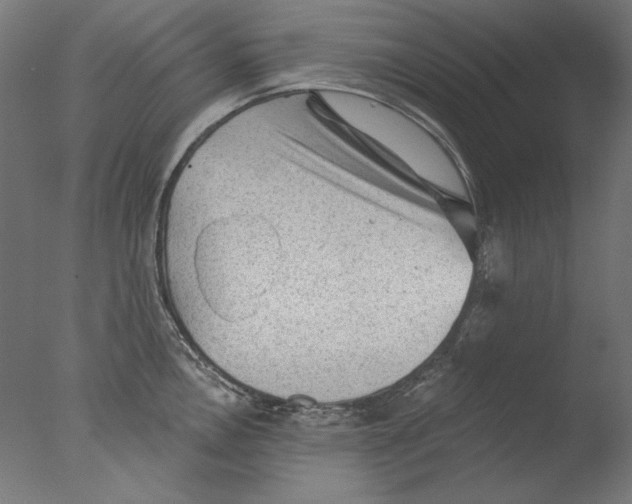 X0000076321146200610201632