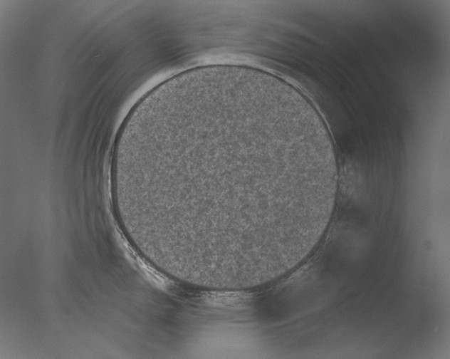 X0000076321150200610201632