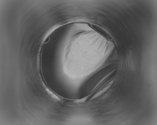 X0000076321151200610201632