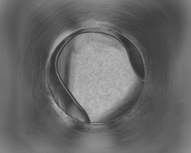 X0000076321152200610201632