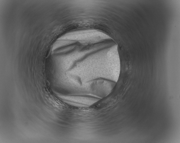 X0000076321153200610201631