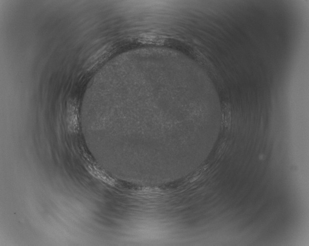 X0000076321154200610201631