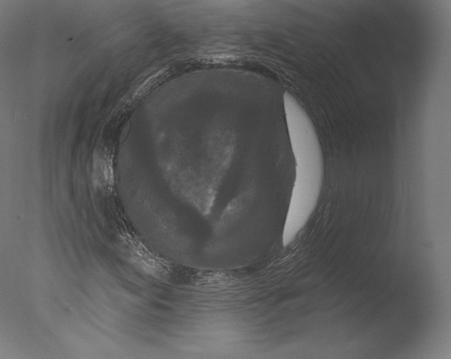 X0000076321155200610201631