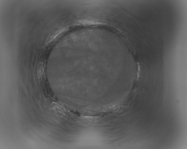 X0000076321157200610201631