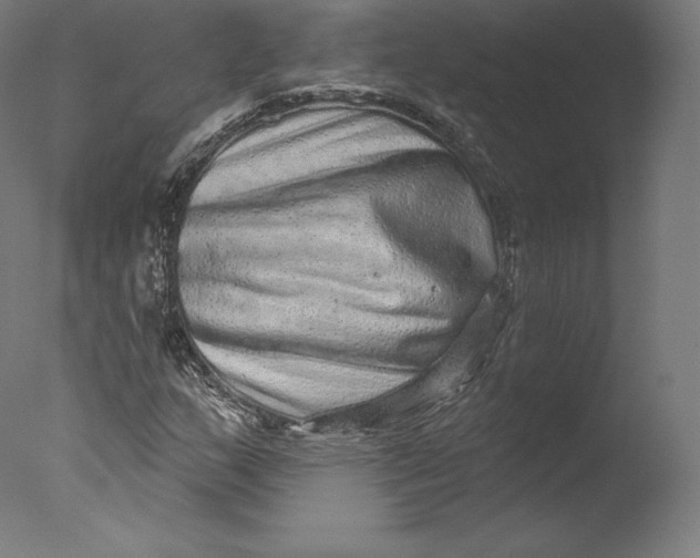 X0000076321159200610201631