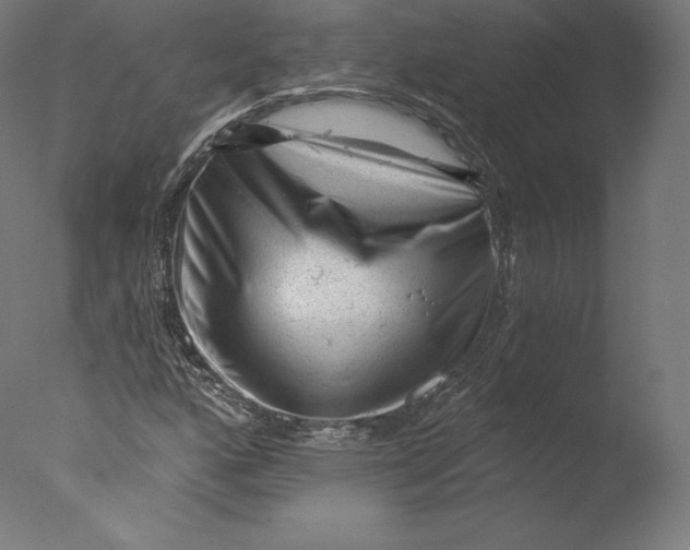 X0000076321160200610201631