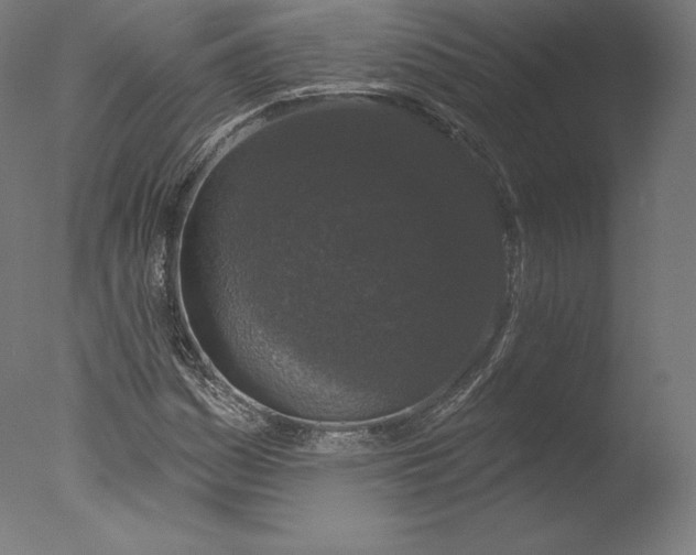 X0000076321161200610201631