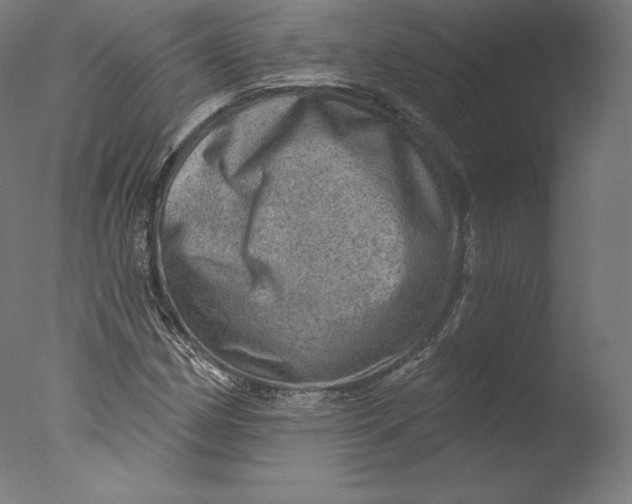 X0000076321162200610201631