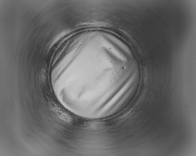 X0000076321163200610201631