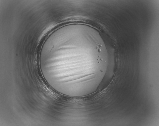 X0000076321164200610201631