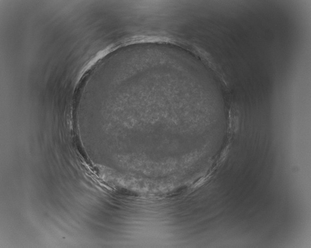 X0000076321165200610201631