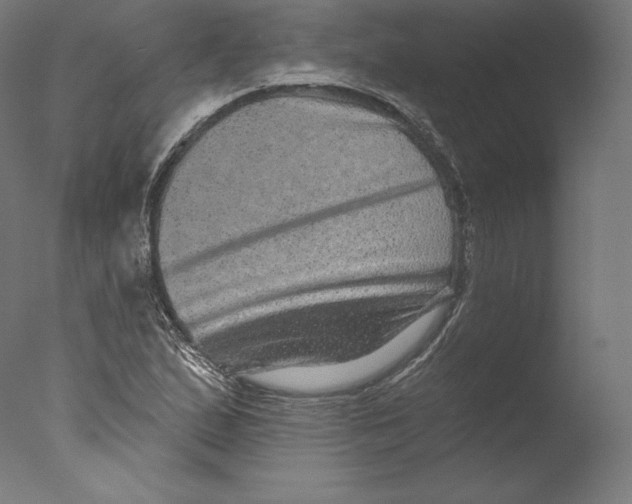 X0000076321167200610201631