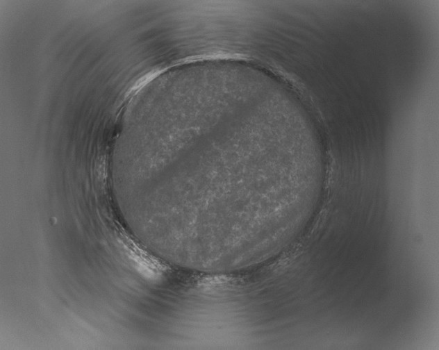 X0000076321169200610201631