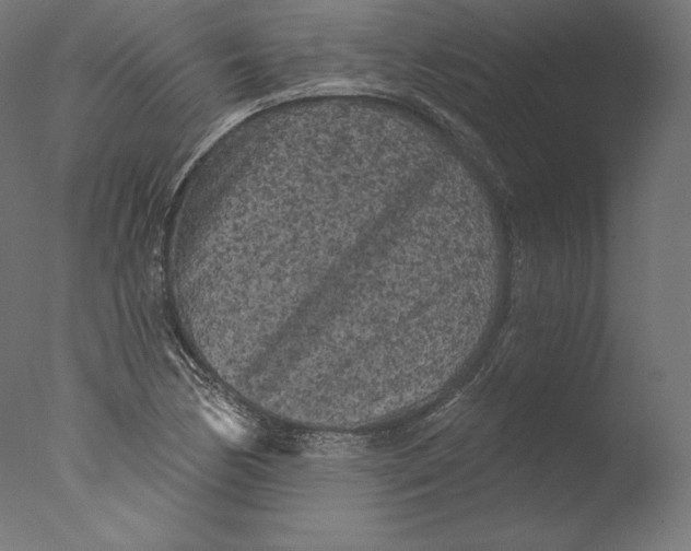 X0000076321170200610201631