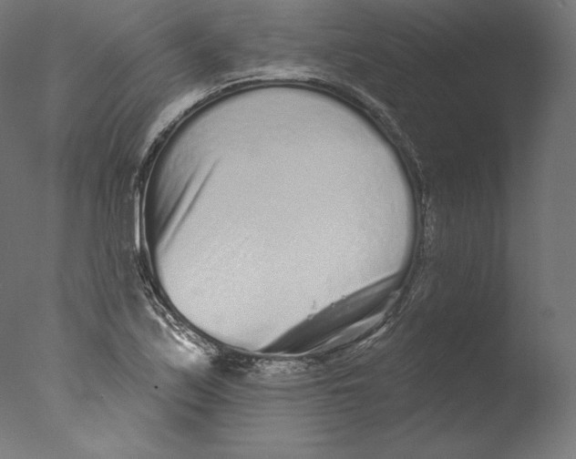 X0000076321171200610201631