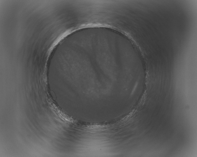 X0000076321173200610201631