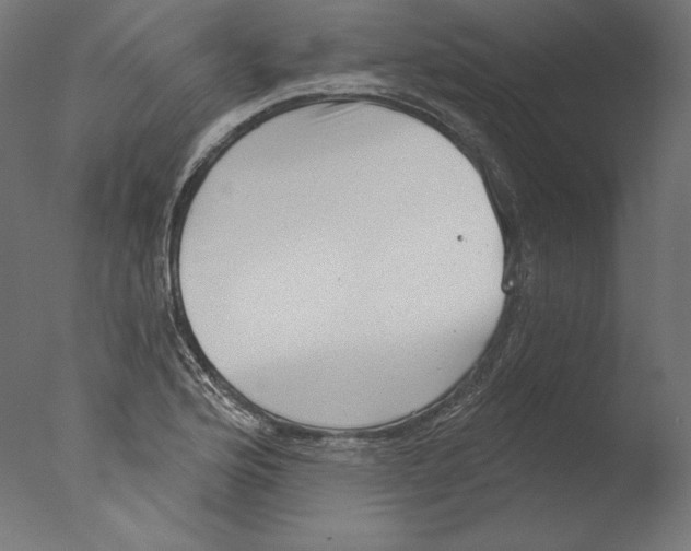 X0000076321176200610201631