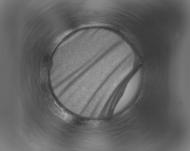 X0000076321177200610201631