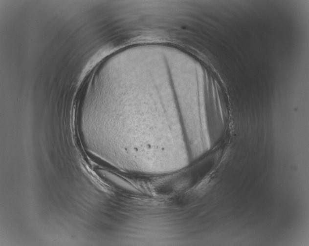 X0000076321179200610201631